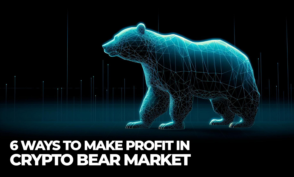 How To Make Money In Crypto Bear Market